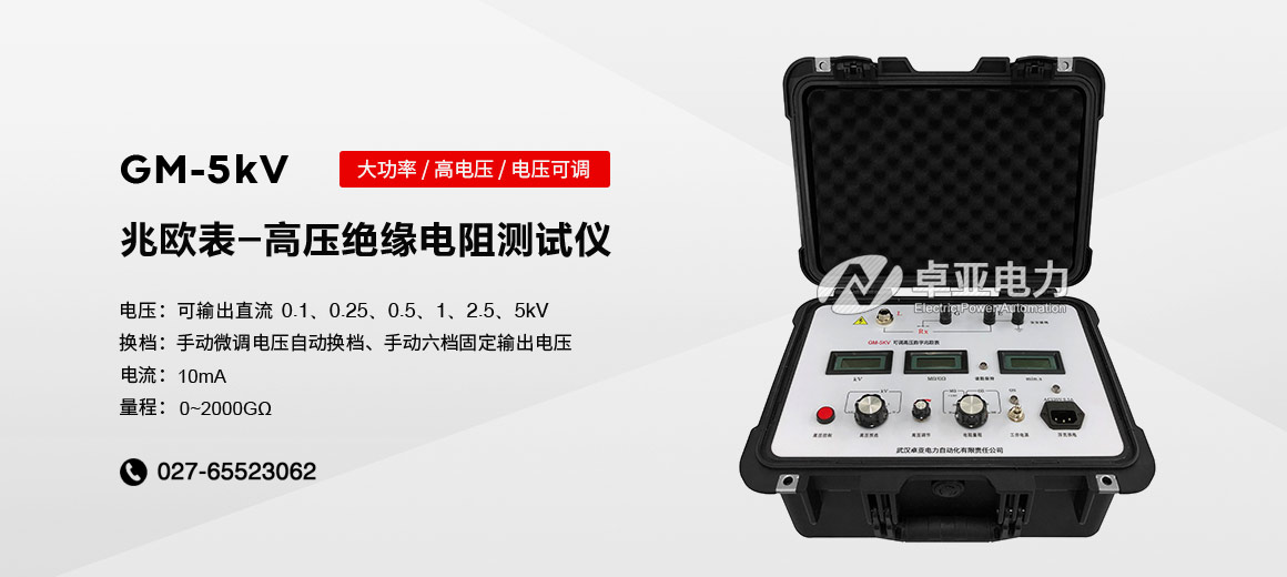 5kV高壓數(shù)字絕緣電阻測試儀 5kV高壓數(shù)字絕緣電阻測試儀