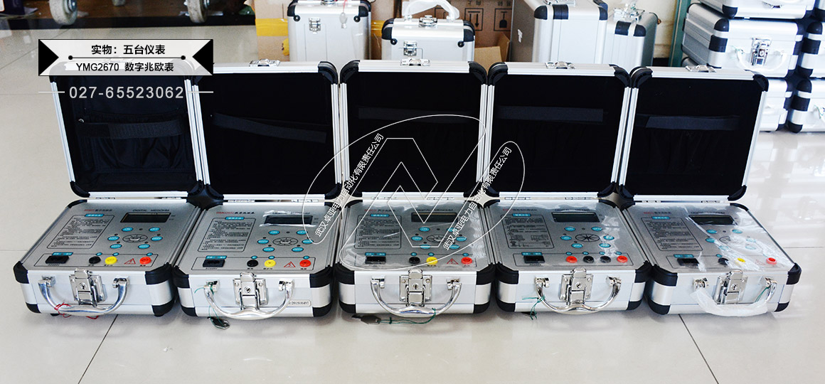 _(ti)100V/250V/500V/1000V(sh)ךW