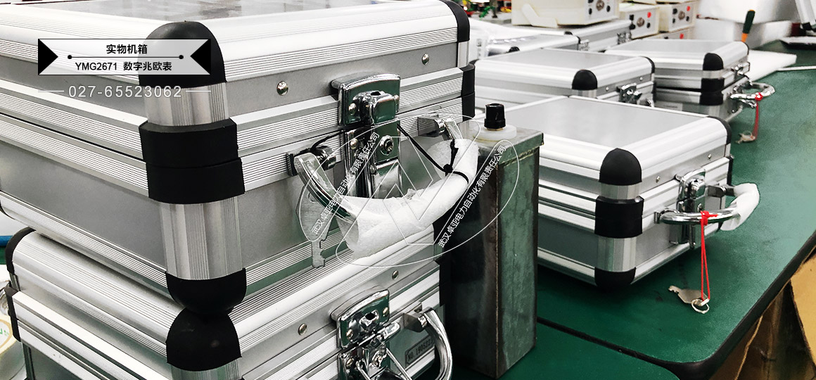 500V/1000V/2000V/2500V(sh)ךW - C