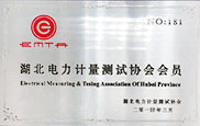 湖北電力計(jì)量測(cè)試協(xié)會(huì)會(huì)員